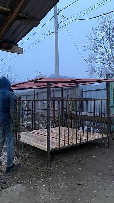 Товары и оборудование для с/х животных: Койкана койго жана козуга ылайыкташкан краскасын кылып берем 8 баш — 8