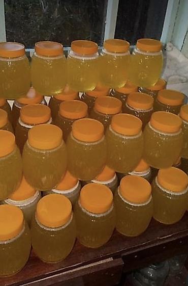 луга: Рекламное письмо 1 литр 650 больше 1 кг Больше 10 кг доставка — 1
