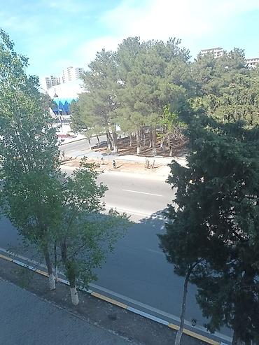 Mənzil alıram: 2 otaqlı, 75 kv. m — 16