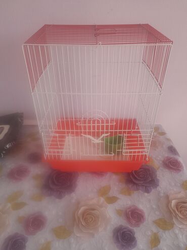 купить аквариум в баку: Kletka