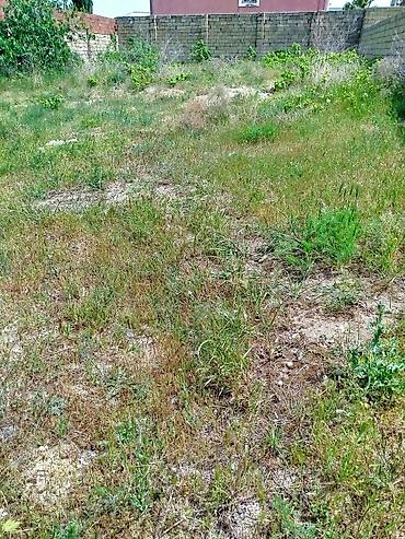 Torpaq: 7 sot, Tikinti, Makler, Kupça (Çıxarış), Texniki pasport — 9