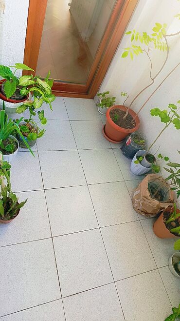 Duş kabinaları, arakəsmələr: Arakəsmə, Düzbucaqlı — 6