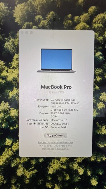 notebook pro: Ноутбук, Apple, 16 ГБ ОЭТ, Intel Core i9, 16 ", Колдонулган, Жумуш, окуу үчүн, эс тутум NVMe SSD