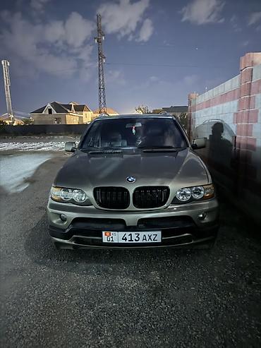 x пайп: BMW X5: 2003 г., 4.4 л, Бензин, Кроссовер — 6