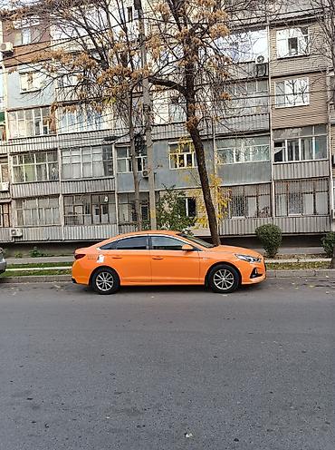 sonata оранжевый: Hyundai Sonata: 2019 г., 1.9 л, Автомат, Газ, Седан — 2
