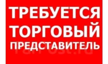 нужен плотник в Кыргызстан | ДРУГИЕ СТРОЙУСЛУГИ: Торговый агент. Без транспорта. С опытом. Неполный рабочий день