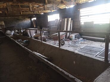 Продажа домов: Дом, 170 м², 6 комнат, Собственник, Косметический ремонт — 26