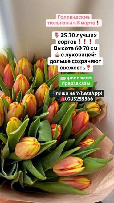 декор для кафе: Здравствуйте 🌷 у нас есть более 25 видов, цена оптом стоит 75 сомов🤗