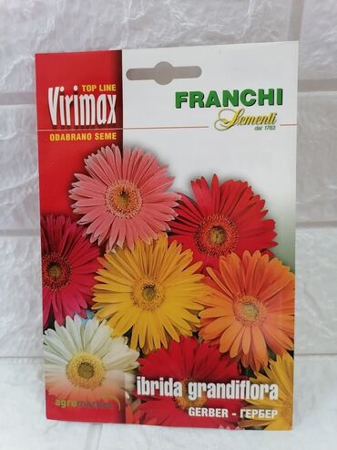 Semena i sadnice: Cena 500din/kesica — 8