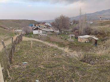 Продажа коттеджей и домов: Продаётся дом с участком общая площадь 20 соток все документы в — 2