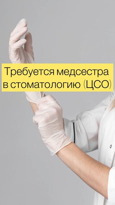 работа медсестра бишкек: Медсестра. Джал мкр (в т.ч. Верхний, Нижний, Средний)