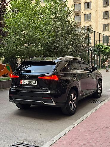 200: Lexus NX: 2020 г., Гибрид, Кроссовер — 6