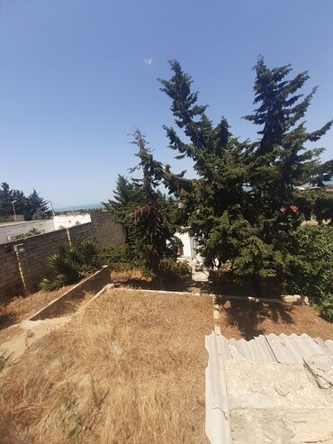 Bağ evlərinin satışı: Bakı, Görədil, 65 kv. m, 1 otaqlı, Hovuzsuz, Qaz, Su, Kanalizasiya — 7