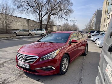 хундай фит: Hyundai Sonata: 2016 г., 2.4 л, Автомат, Бензин, Седан