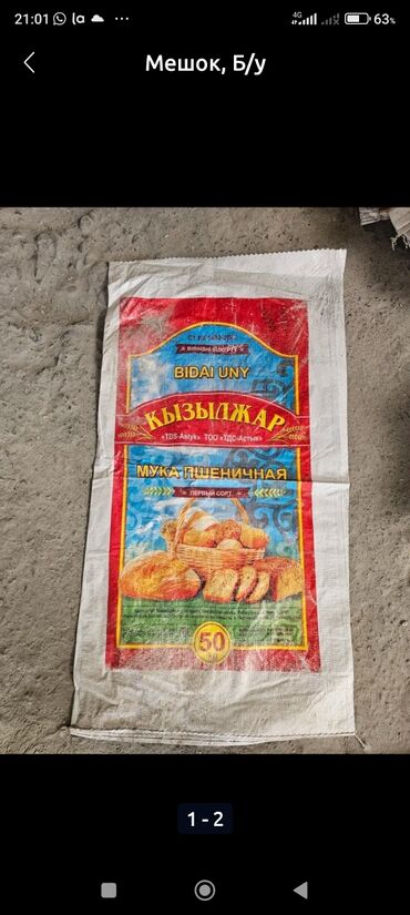 продаю саженцы черной смородины: Саженцы кормовых растений: Эспарцет