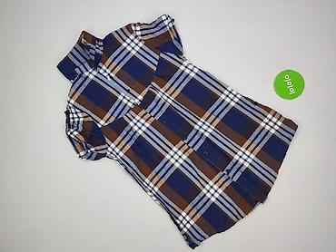 bluzki zebra: Tunika damska, rozmiar 2XL — 2