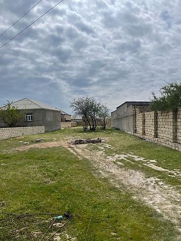 neftcalada ev satisi: 11 sot, Tikinti, Bələdiyyə — 10
