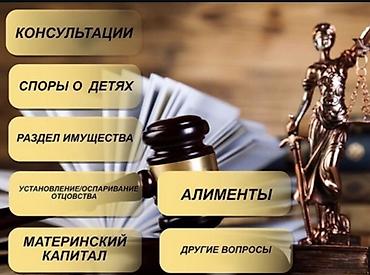 Юридические услуги: Юридические услуги | Административное право, Гражданское право, Земельное право | Консультация — 2