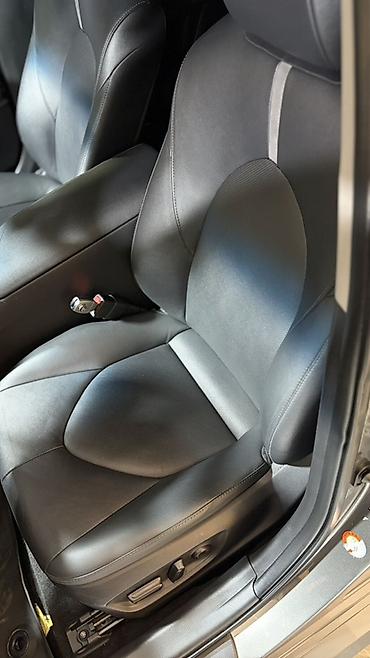 баковой стекло: Toyota Camry: 2023 г., 2.5 л, Автомат, Гибрид, Седан — 9