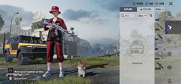 profil ucun kitab şəkilləri: PUBG Mobile hesabı – zəngin inventar və nadir kosmetiklər - — 9