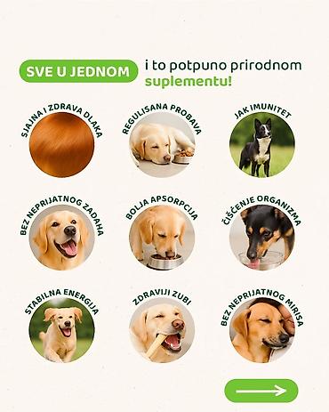 Oprema za kućne ljubimce: Pet shop Maza & Nera – sve za pse i mačke na jednom mestu - Širok — 25