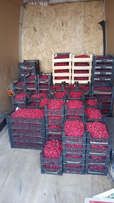 Продажа участков: 200 соток, Для бизнеса, Договор купли-продажи at lalafo.kg — 2 Продажа участков: 200 соток, Для бизнеса, Договор купли-продажи — 2