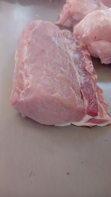 Свиньи: Продаю | Свинья (самка) | На забой — 2