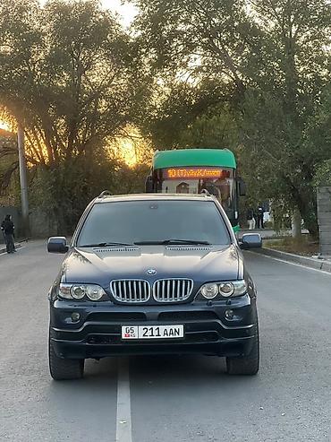 bis vip: BMW X5: 2004 г., 4.4 л, Автомат, Бензин, Кроссовер — 3