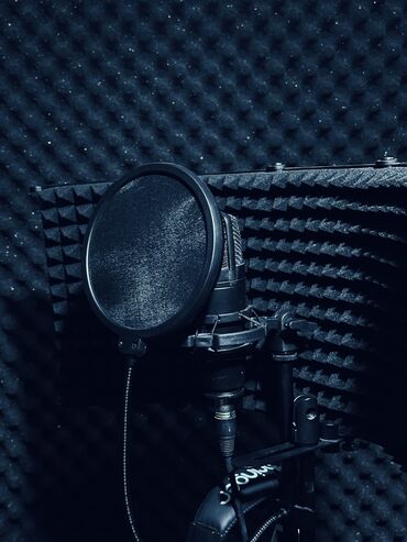 boya микрофон: Продам микрофон behringer c1 и звуковую карту behringer u phoria um2 +