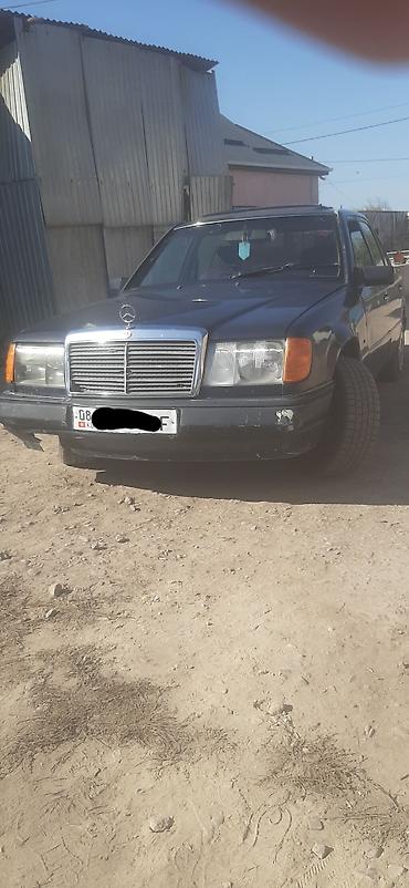 Mercedes-Benz 220: 1989 г., 2 л, Механика, Дизель, Седан