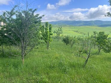 Həyət evləri və villaların satışı: 3 otaqlı, 100 kv. m, Kredit yoxdur, Təmirsiz — 6