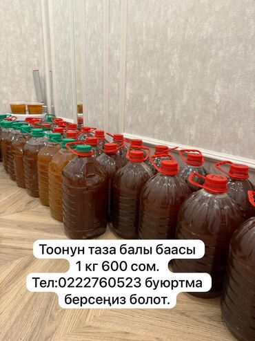 цесна мука цена: Тоонун таза балы 1,2 сүзүмү тең бар. Бал челектер Кара- кулжада