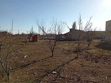 Həyət evləri və villalar: 1 otaqlı, 20 kv. m, Kredit yoxdur, Orta təmir — 4