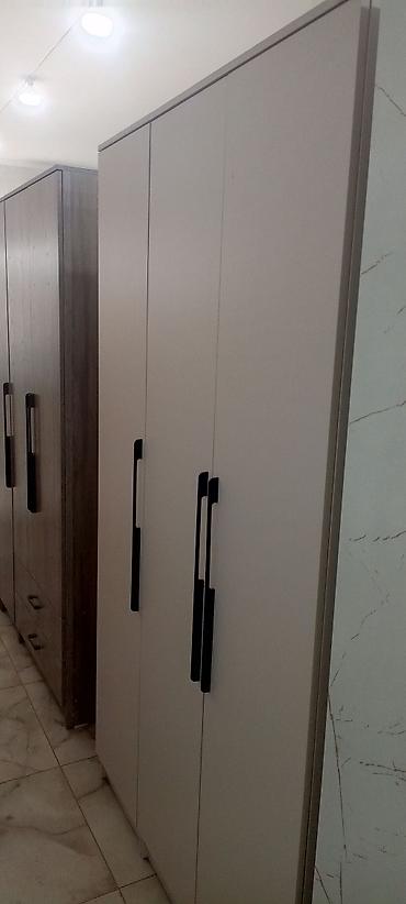 Шифоньеры, шкафы для одежды: Шифоньер, шкаф для одежды, Новый, Прямой, ЛДСП — 6