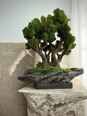 Другой декор и предметы интерьера: В переводе с японского Бонсай означает «дерево, выращенное в блюде» — 58