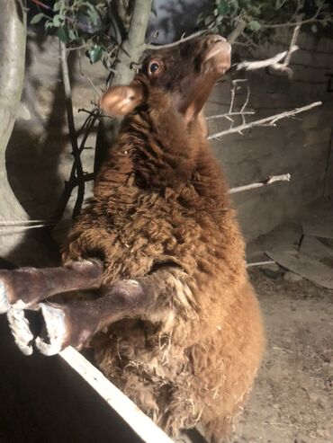 bmw 8 серия 840ci at: 0707399173vacap zeng0708671833