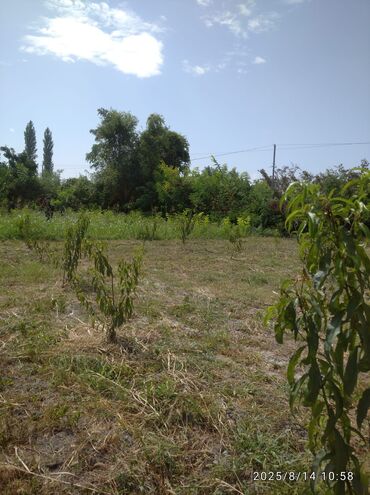 Torpaq sahələrinin satışı: 13 sot, Kənd təsərrüfatı, Barter mümkündür, Kupça (Çıxarış) — 8