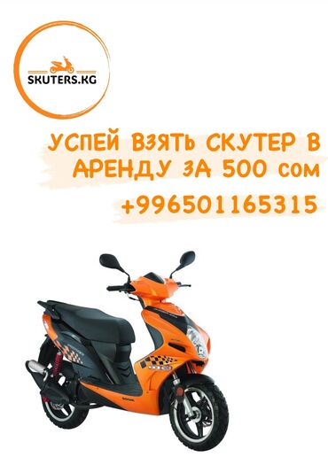 plate razmer s m: Сдаю в аренду