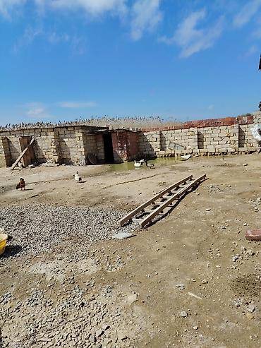 Həyət evi alıram: 100 kv. m, 4 otaqlı, İşıq — 6