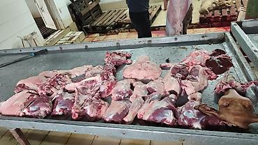 ножки коровы: Баранина и субпродукты. Забой и разделка на мясокомбинате — 2
