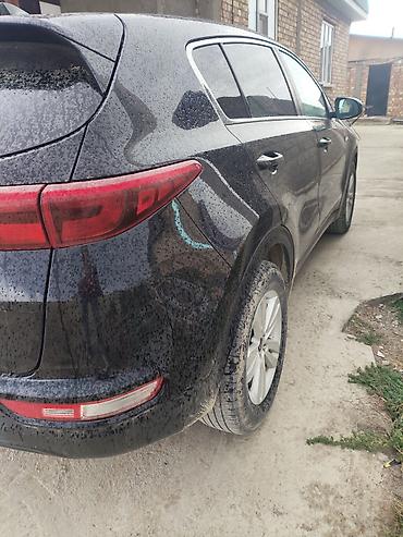 accord 6: Kia Sportage: 2017 г., 2.4 л, Автомат, Бензин, Кроссовер — 1