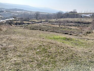 novxanida torpaq sahesi satilir: 13 sot, Kənd təsərrüfatı, Mülkiyyətçi, Bələdiyyə