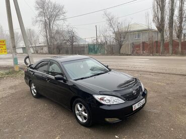 камри авто: Toyota Cami: 2003 г., 3 л, Автомат, Бензин, Минивэн