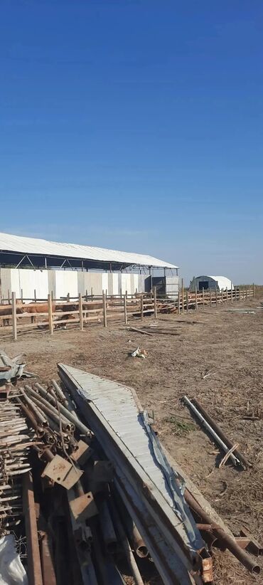 xacmazda ferma satilir: 700 sot, Biznes üçün, Mülkiyyətçi, Kupça (Çıxarış), Texniki pasport