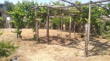 Torpaq sahələrinin satışı: 4 sot, Tikinti, Mülkiyyətçi, Kupça (Çıxarış)