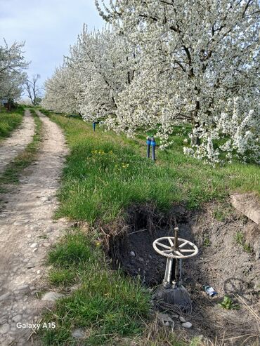 Torpaq sahələrinin satışı: Maklerlər narahat etməsin — 3