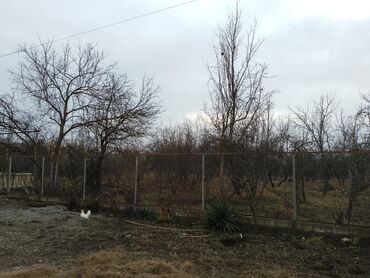 Həyət evləri və villaların satışı: 4 otaqlı, 125 kv. m, Kredit yoxdur, Yeni təmirli — 5