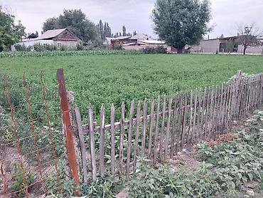 Жер тилкелери: 10 соток, Курулуш — 3