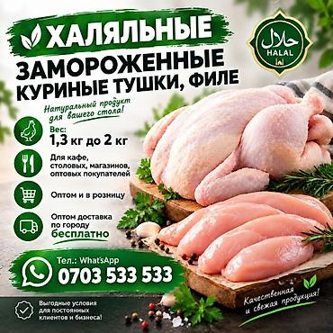 мясо курицы оптом: Халяльные замороженные куриные тушки и филе - Натуральный продукт для — 1