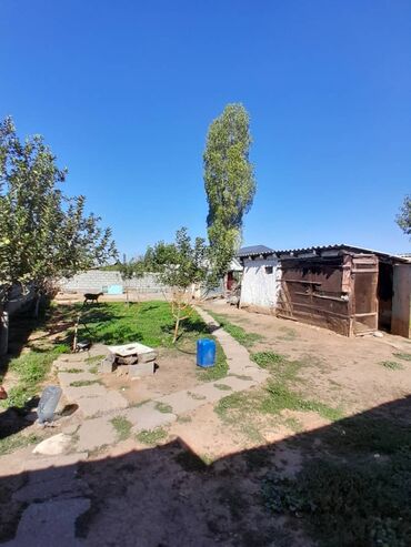 Продажа домов: Дом, 100 м², 5 комнат, Собственник, Косметический ремонт at lalafo.kg — 7 Продажа домов: Дом, 100 м², 5 комнат, Собственник, Косметический ремонт — 7